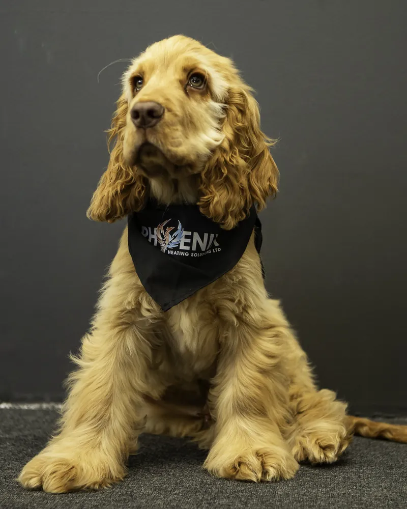 Bruce, Barketing Manager, at the Phoenix office in Maidstone