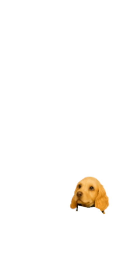 Bruce the dog's bobble head